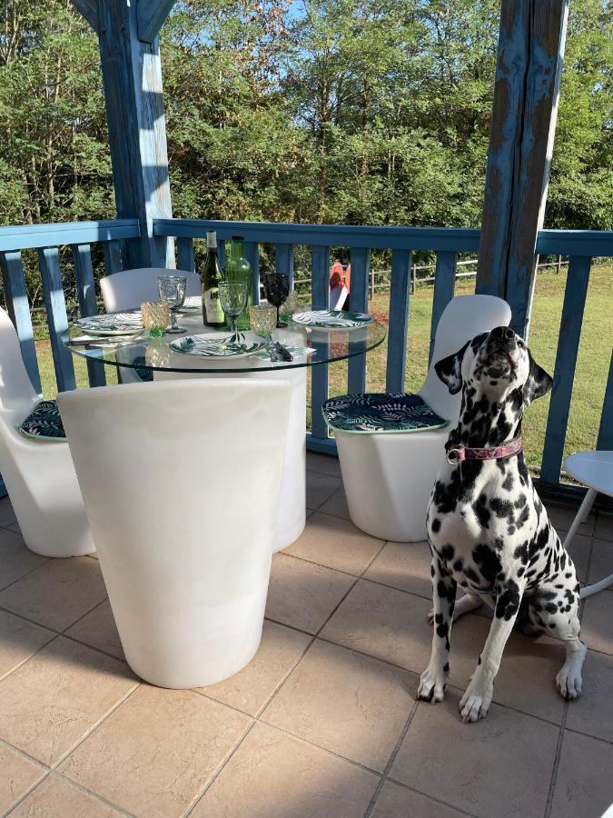 Appartamento *A Setting Between Dordogne And Swimming Pool* Argentat Esterno foto